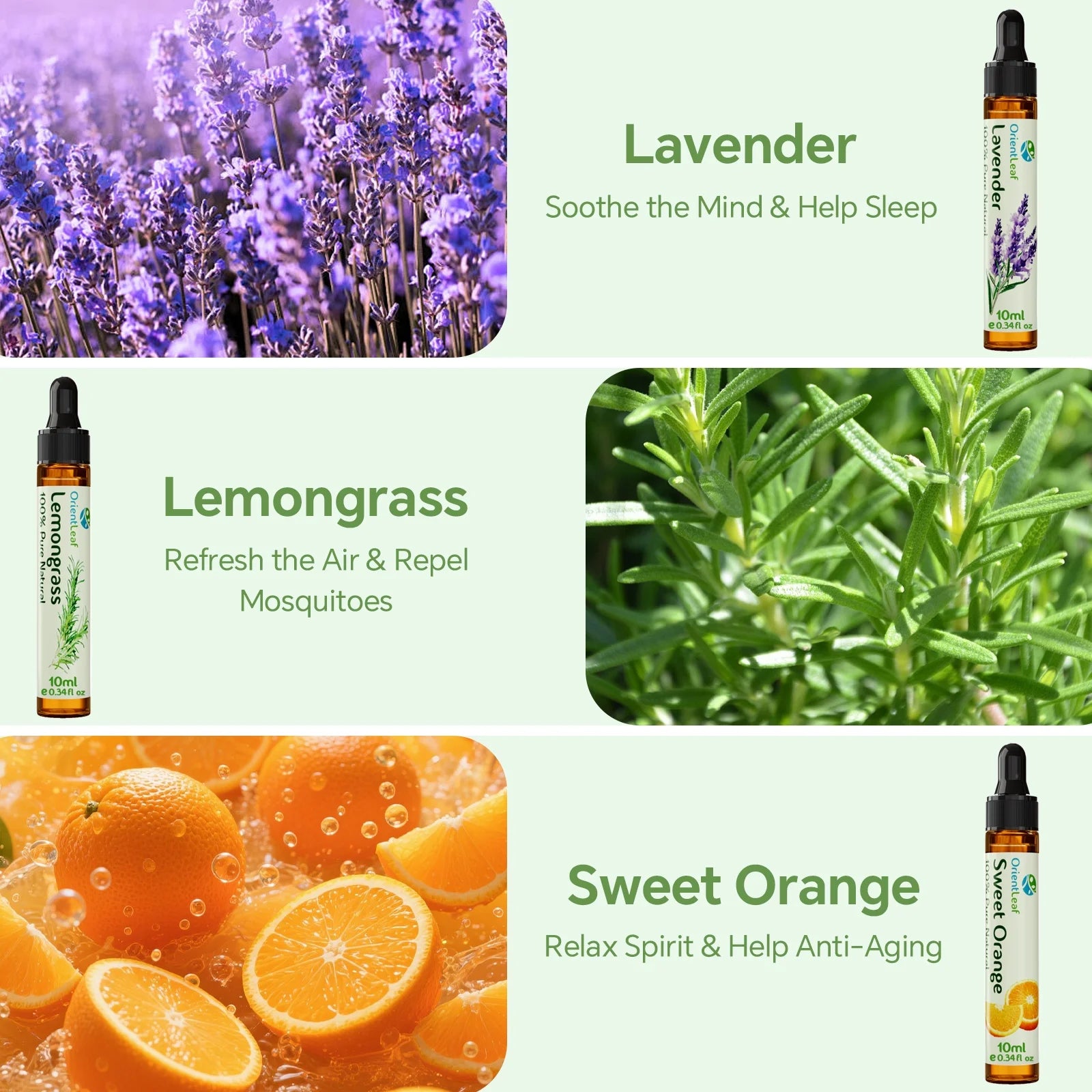 Essential Oil Set, 100% Pure Natural Aromatherapy Essential Oils Set for Diffusers, Massage, Aromatherapy, Skin & Hair Care, Gifts Choice for Women