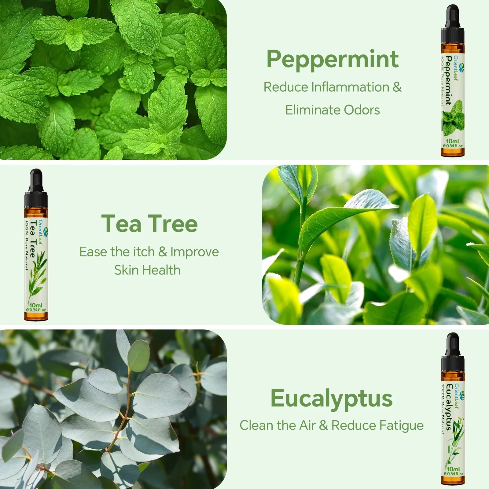 Essential Oil Set, 100% Pure Natural Aromatherapy Essential Oils Set for Diffusers, Massage, Aromatherapy, Skin & Hair Care, Gifts Choice for Women